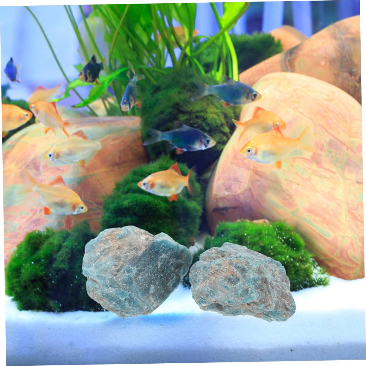 SOLUSTRE 10stücke Natürliche Kristallsteine Für Dekoration Landschaftsstein Aquarium-zubehör Kleine Dekorative Steine Für Garten Und Innenräume Kreative Projekte Und Landschaftsbau