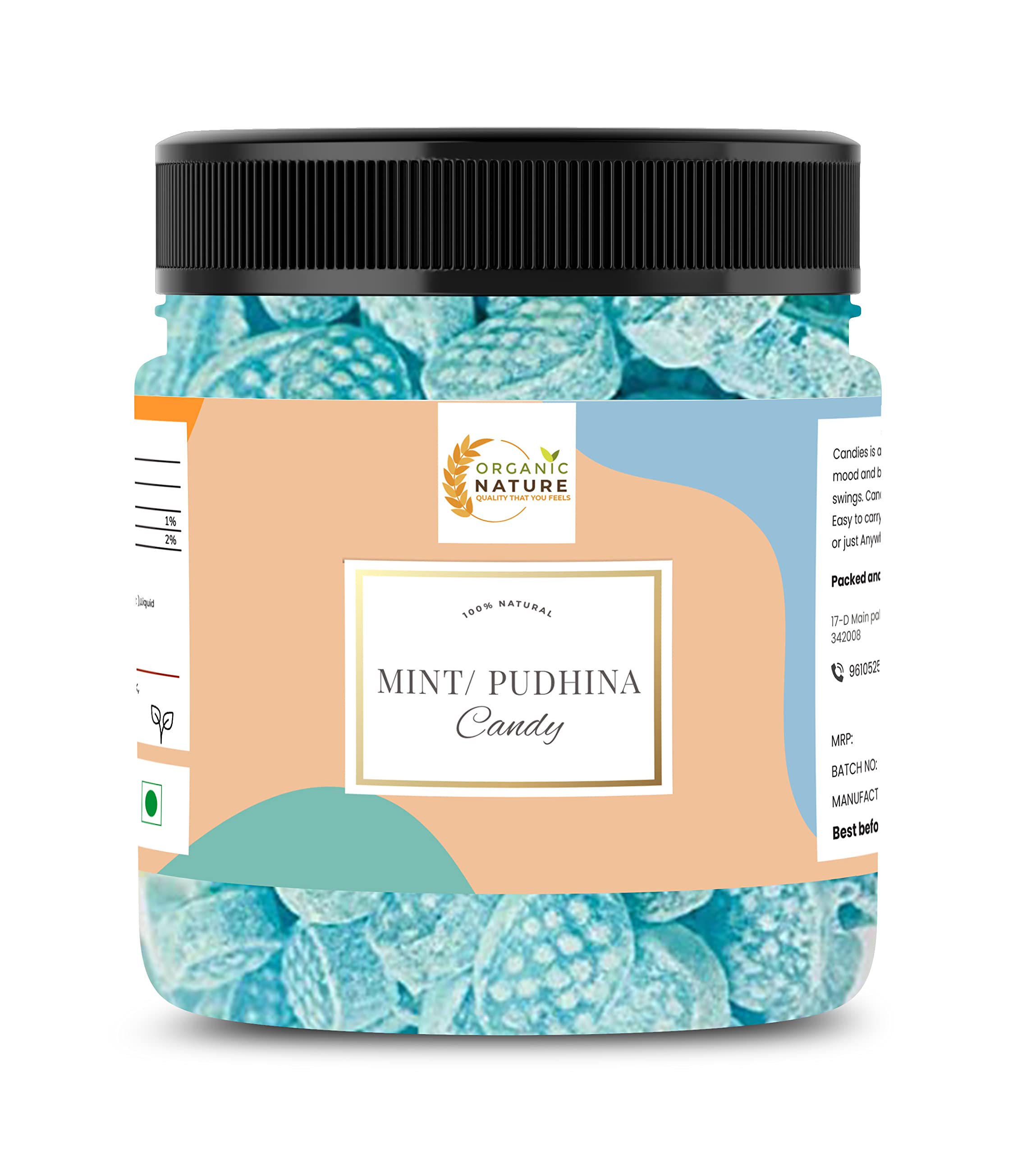 Organic Nature Mint Flavoured Candy PUDINA Flavour Candy 250 Gram Jar Pack