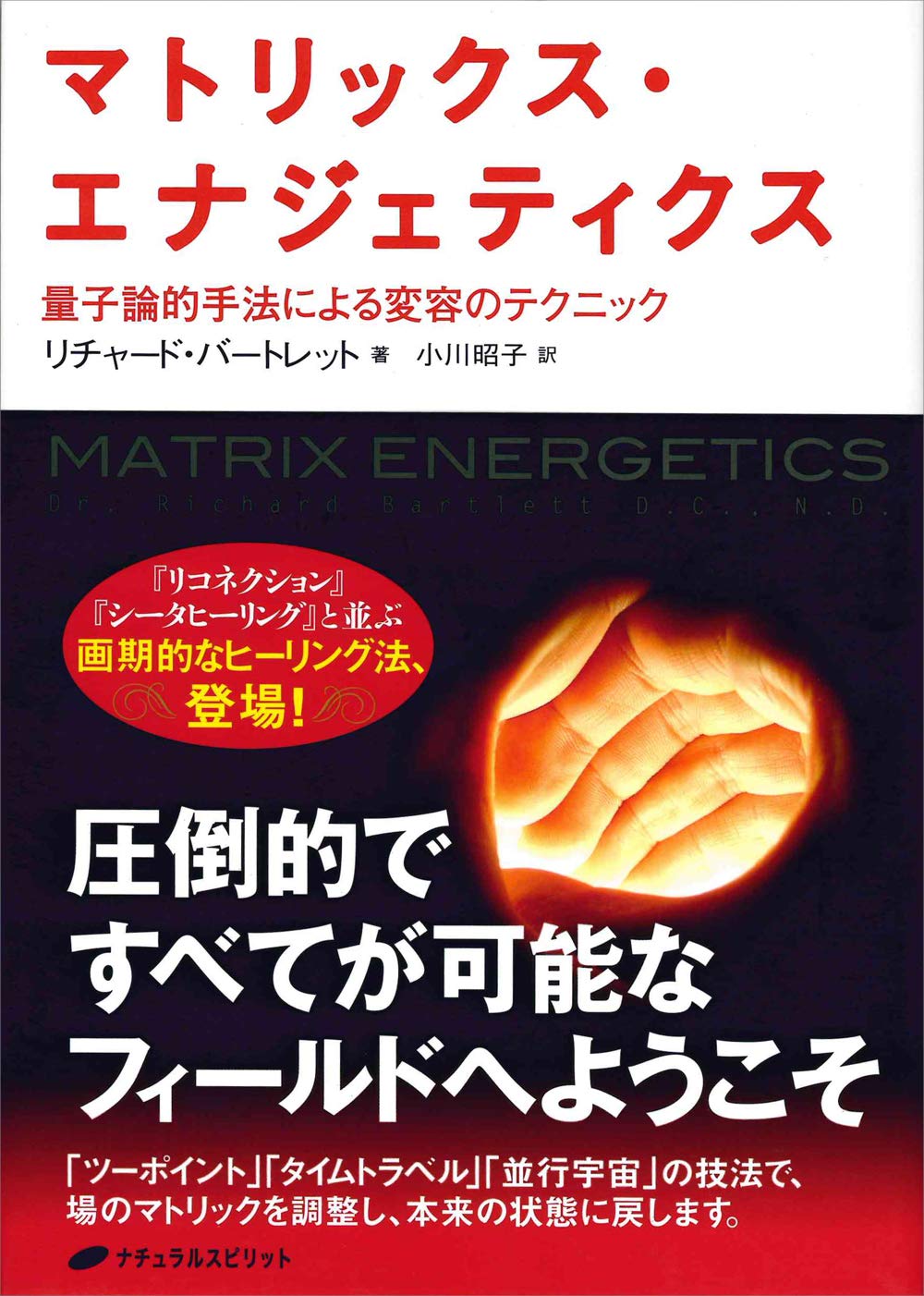 マトリックス・エナジェティクス ― 量子論的手法による変容の