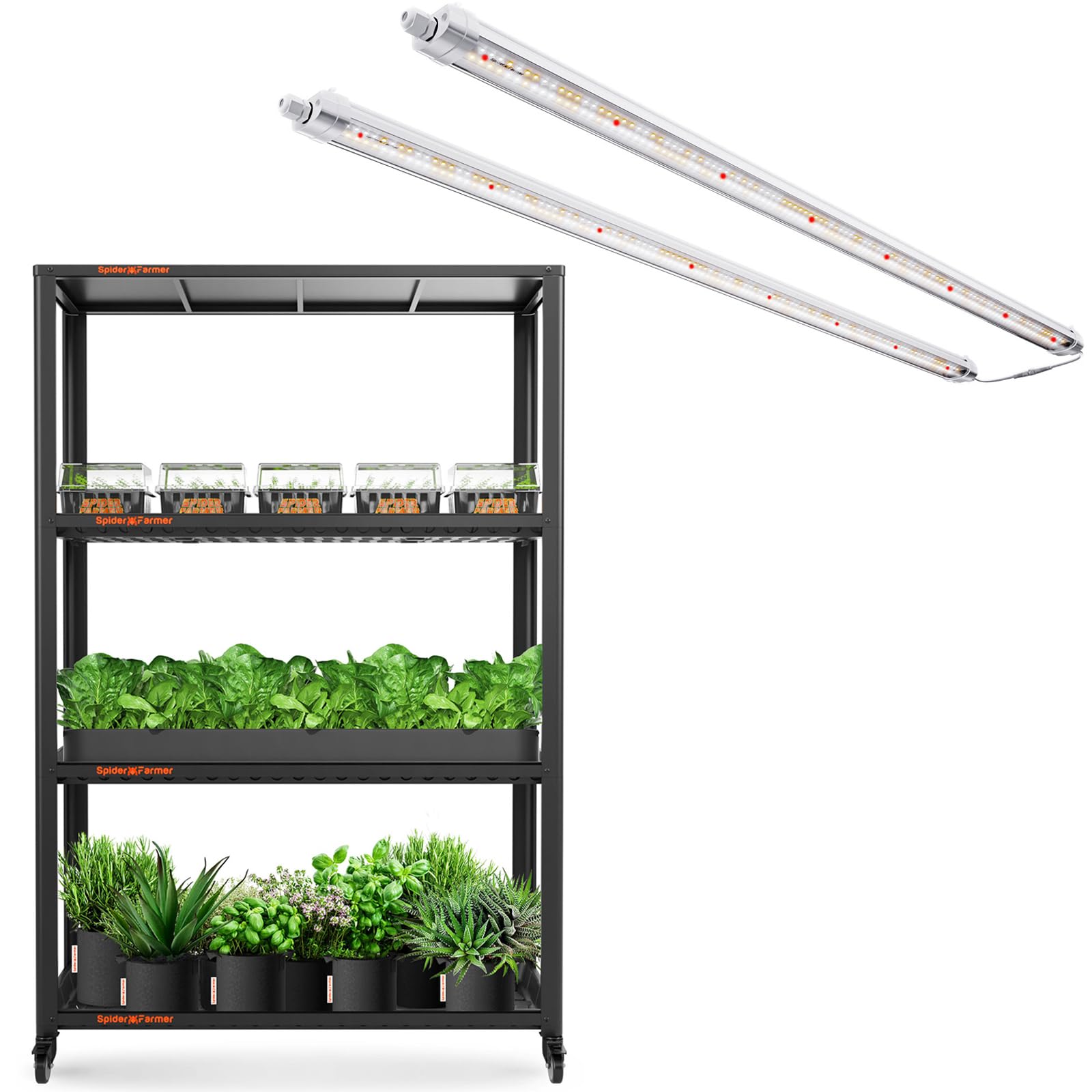 Amazon.com: Spider Farmer Glow80 Waterproof LED Grow Lights with