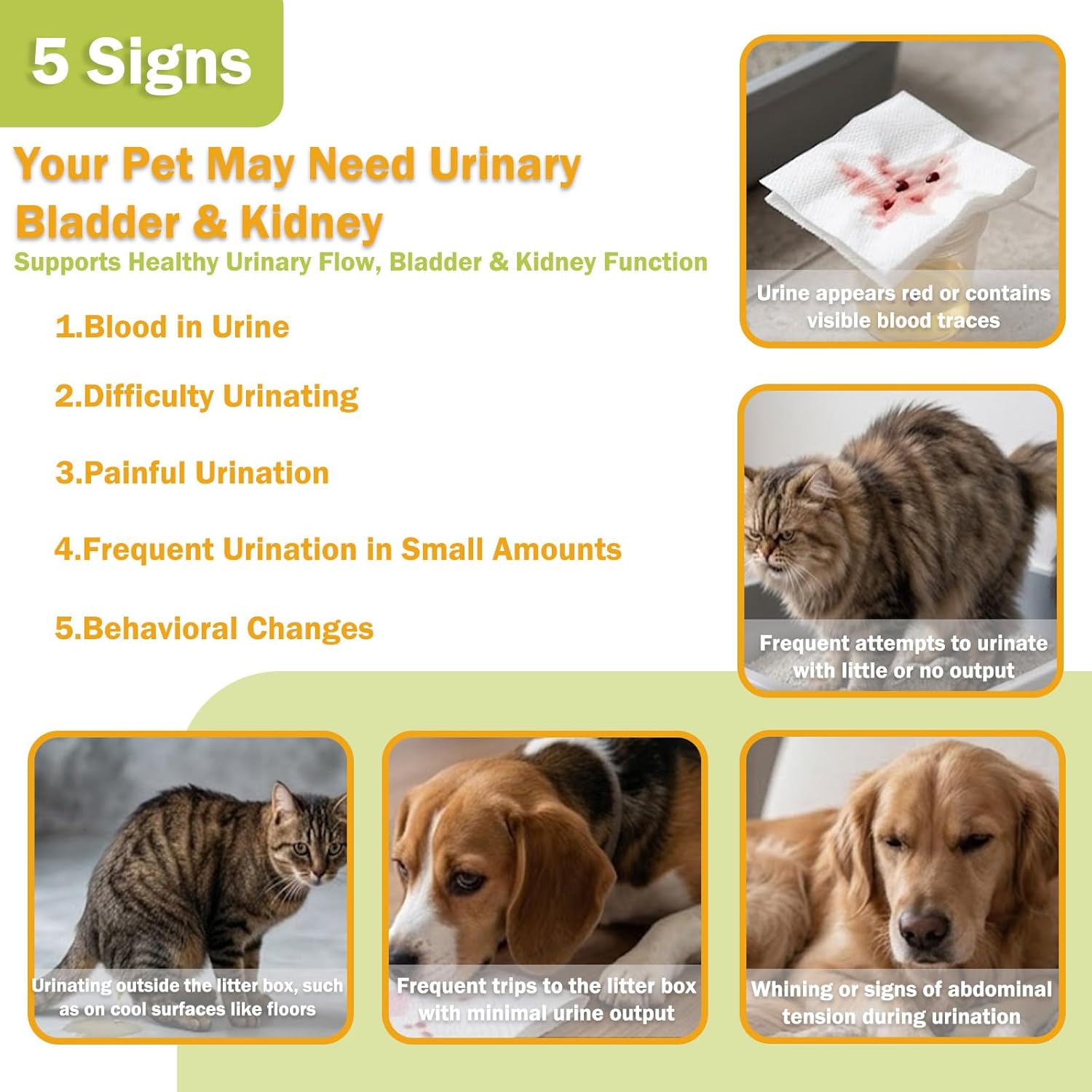 Stone Breaker for Dogs & Cats – Crystal Flush Urinary Tract Supplement, Bladder Stone & Kidney Support for Dogs and Cats