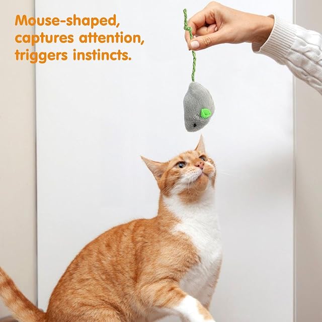 Foto 5 de 6 de EHDWXVZM 16 Piezas De Juguetes De Mouse, Lindos Juguetes De Lujo, Juguetes De Masticación Creativos