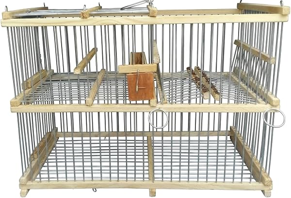 Cage Récupération Oiseaux en Bois, Mécanisme Répétitif Automatique, 38 x 28 x 21 cm, pour Petite et Moyenne Taille, Utilisation Intérieure Volière et Oiseaux Domestiques - 1