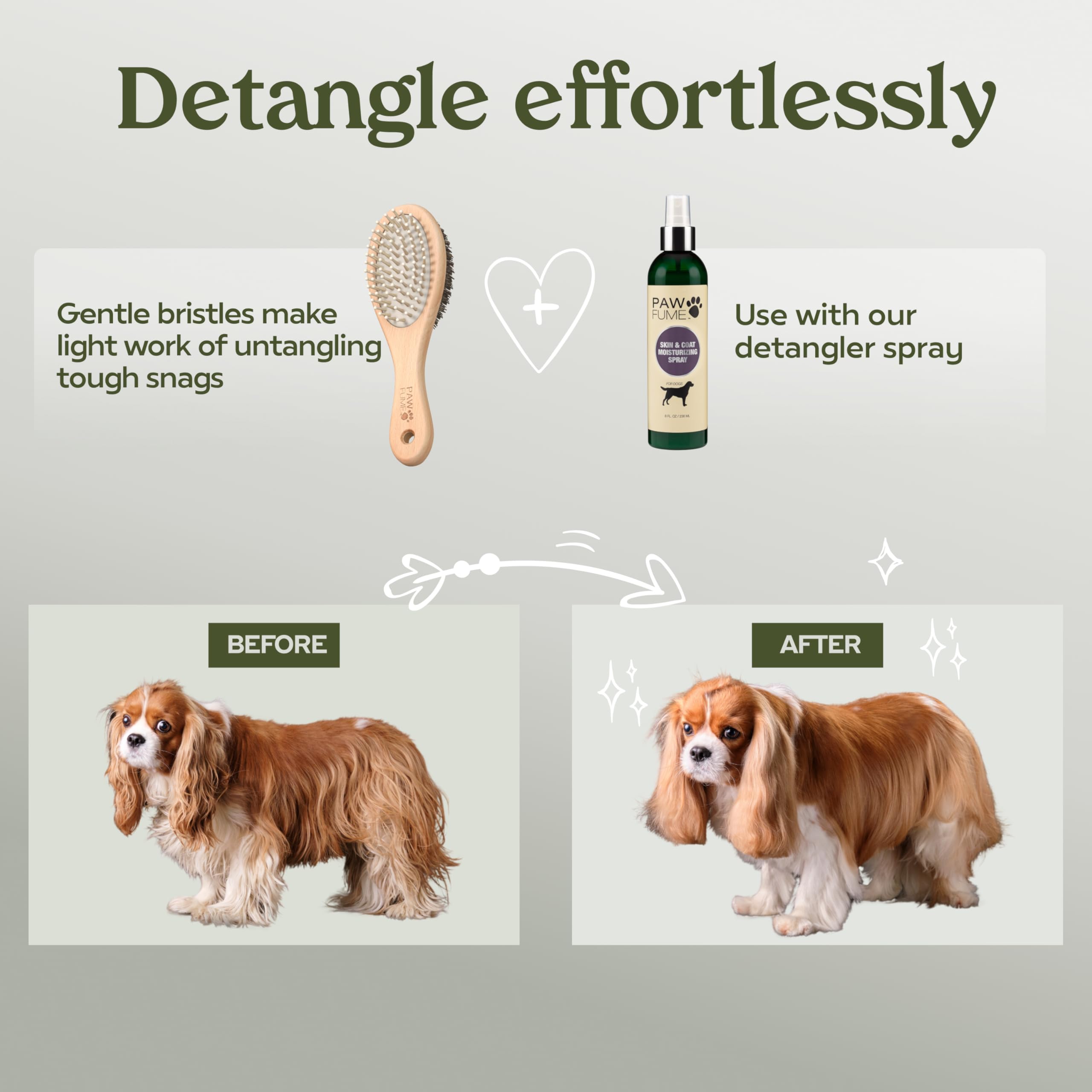 PAWFUME - Cepillo de aseo para perros