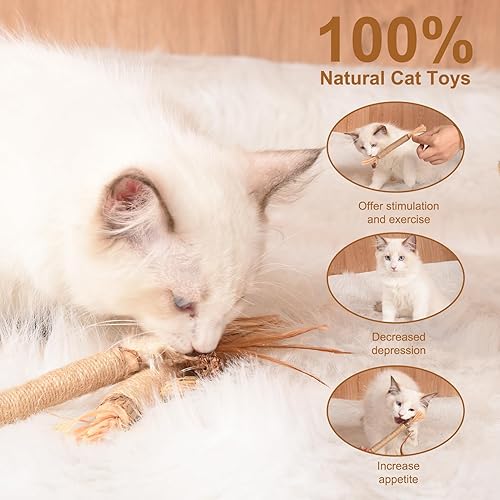 Miniatura 6 de FRIUSATE Paquete de 8 palitos dentales para gatos Silvervine palitos masticables para gatos, palitos de madera para limpieza de dientes, palo de