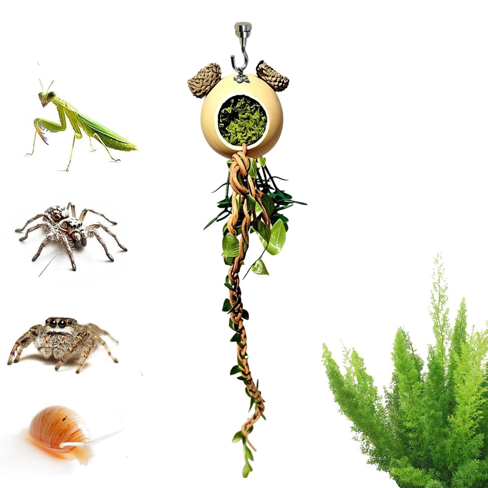 Decoración de escalada de araña y reptiles ideal para terrarios de ranas