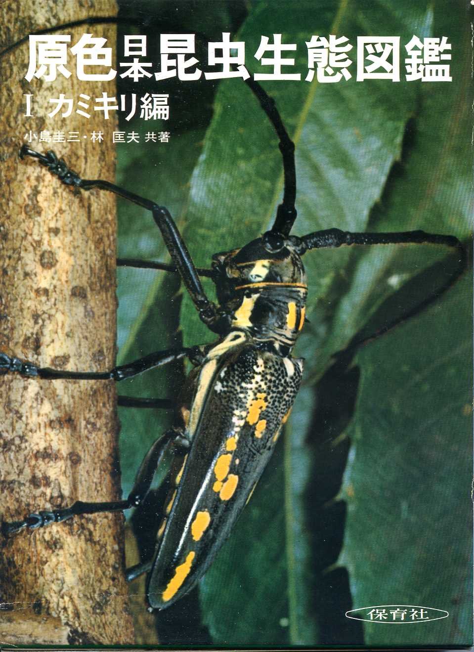 古い昆虫図鑑 おもしろ昆虫図鑑 / 小野 展嗣【監修】/小堀 文彦【写真】 - 紀伊國屋