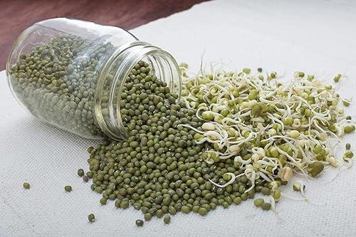 Vista 16 de Food to Live - Frijoles mungos secos (Kosher, Granel)