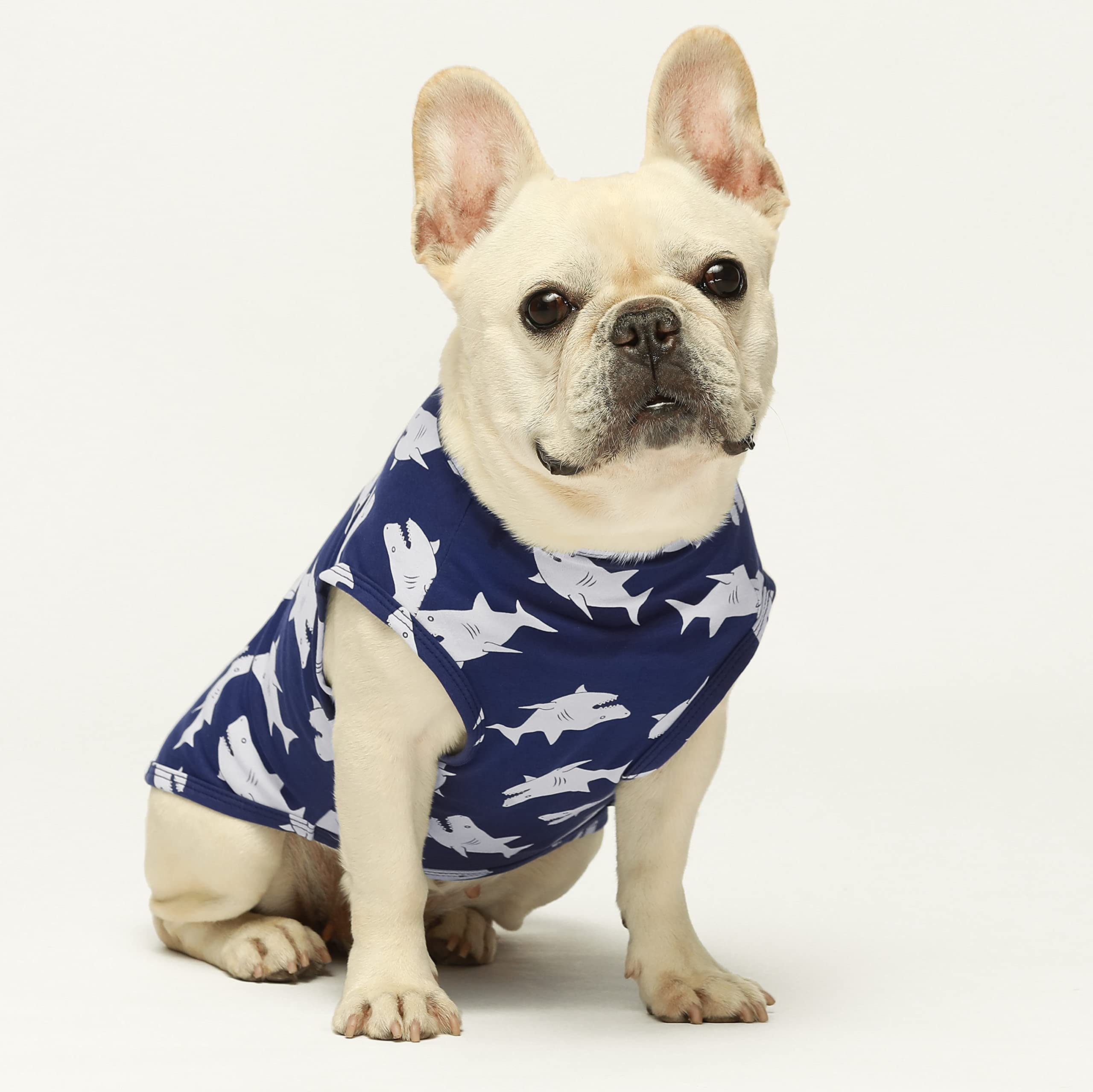 Fitwarm 3 Pack Shark Dog Shirt, Summer Dog Clothes for Small Dogs Boy Girl, Lightweight Pet Tshirt, Cat Outfit, Light Blue, Navy Blue, Royal Blue, Medium