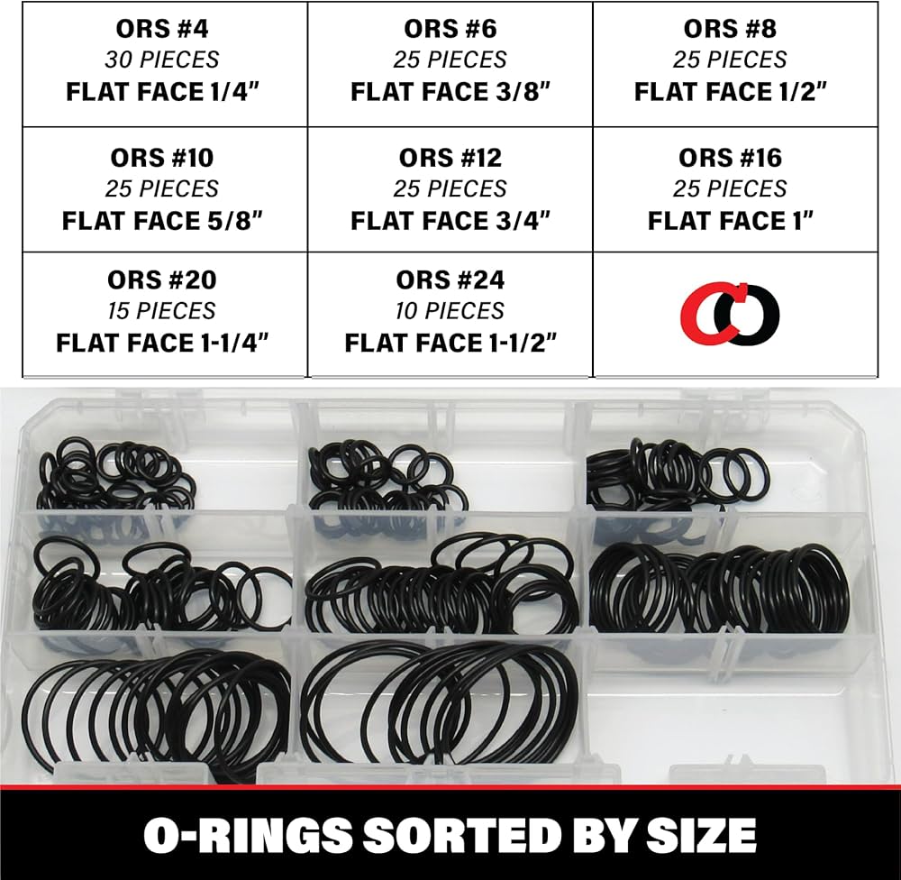 71CtzBqO8SL._AC_UF1000,