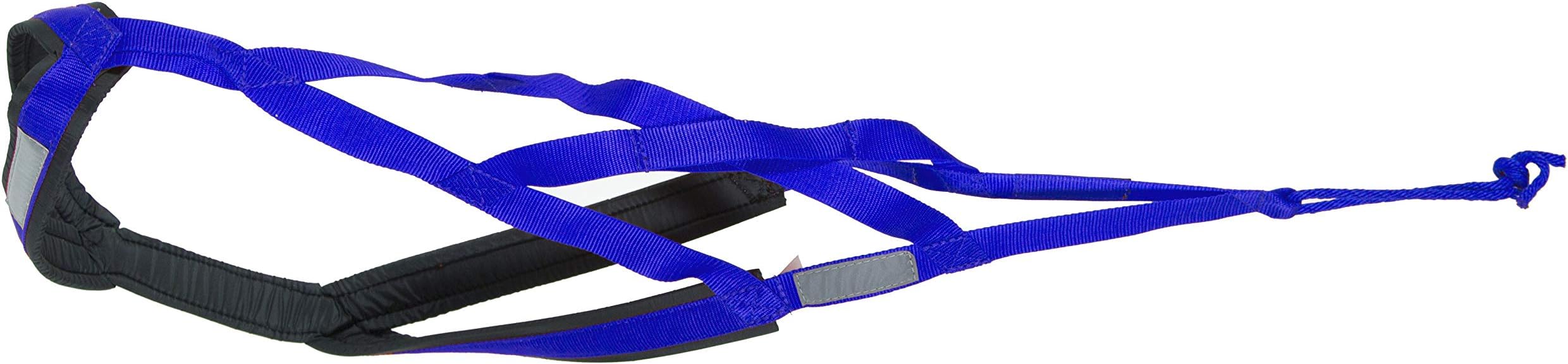 Neewa X-Back Racing Harness - Large/X-Large, Blue | High-Performance, Reflective Gear for Slim, Long-Bodied Dogs | Suitable for Canicross, Skijoring | Neck 17in, Chest 31in, Back 26in