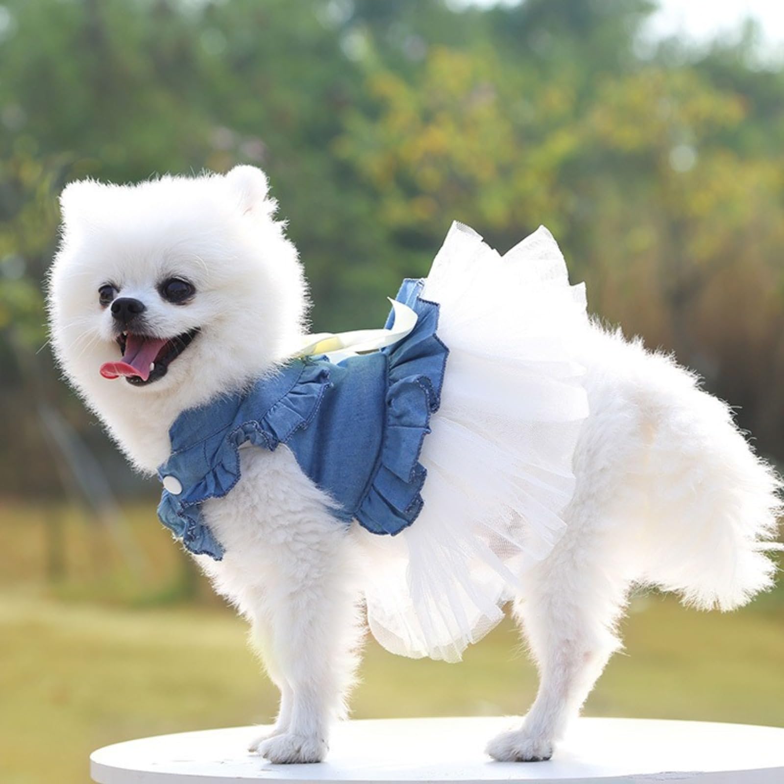 Pet Bow Princess Dress Summer Dog Vest Denim Shirt Sundress Sweet Wedding Party Dress Pet Clothes