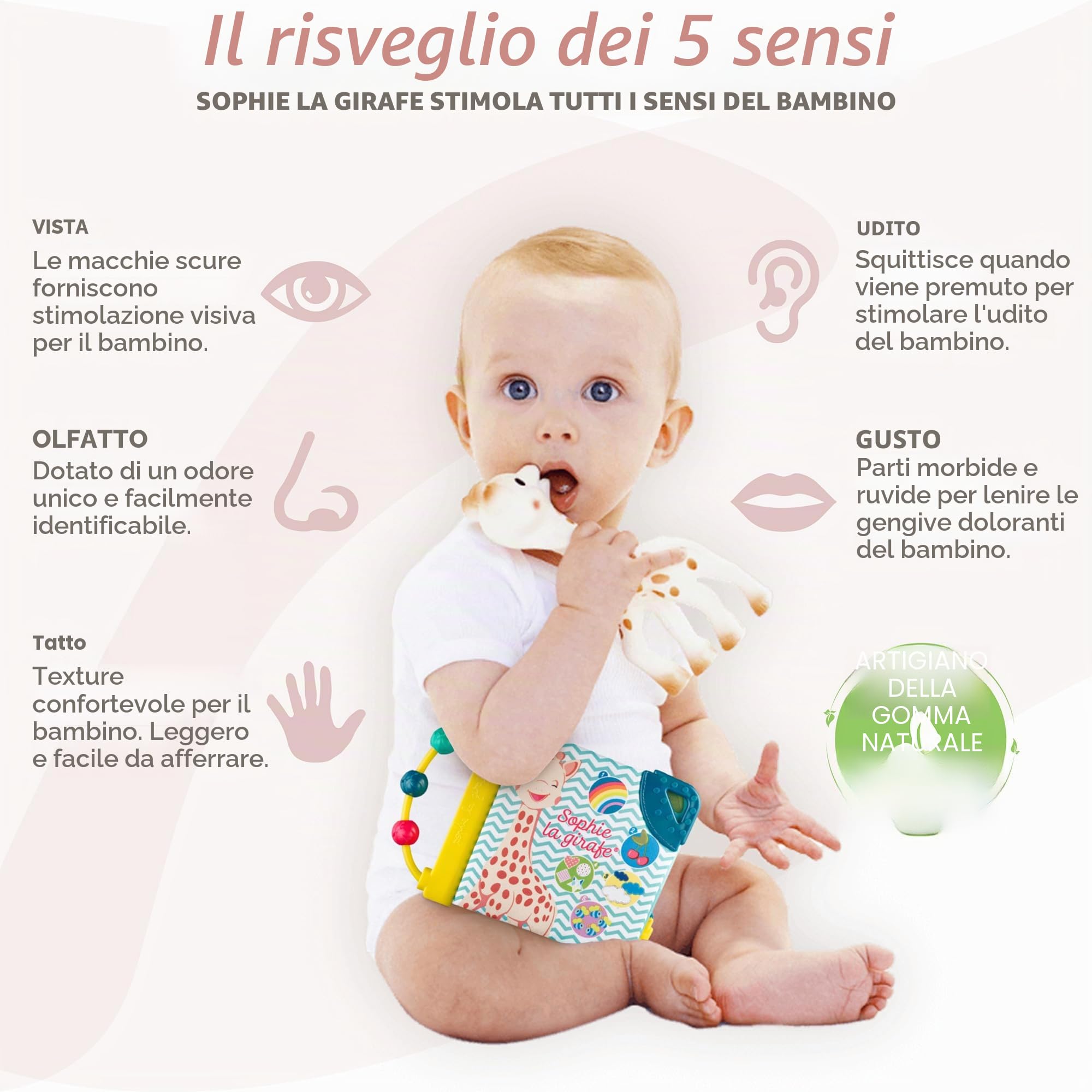 Sophie la Girafe - Cofanetto Nascita Giocattolo + Libro + Sonaglio