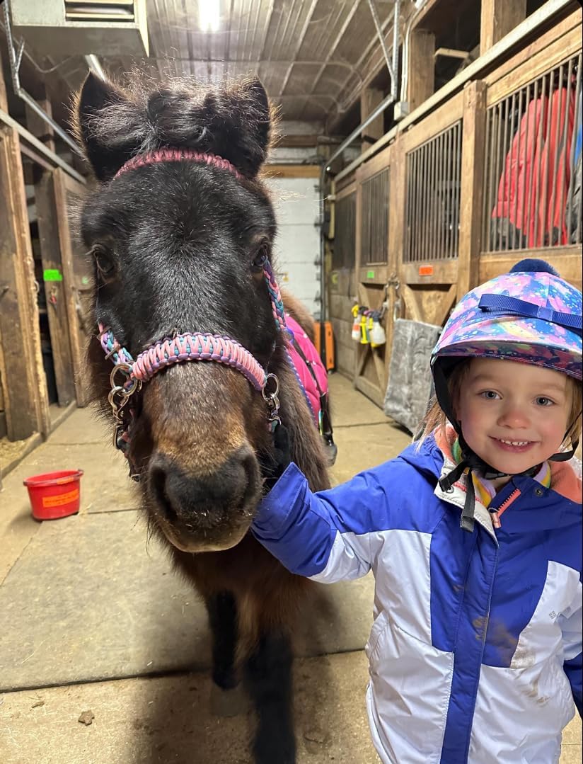pony bitless bridle horse tack side pull hackamore light pink lilac and turquoise in small pony and large pony size