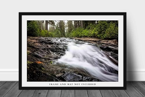 Miniatura 3 de Pacific Northwest Photography Print (Not Framed) Picture of Paradise River Rapids in Mount Rainier National Park Washington State Forest Wall Art