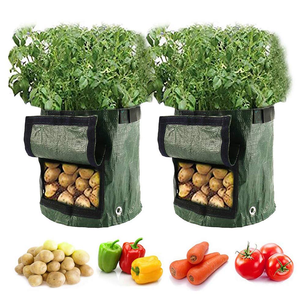 Patnfr 2Pcs 10 Gallons Garden Grow Bags Breathable Plant Bags With Flap And Handles Planting Sacks Outdoor Growing Bag For Vegetable Potato Strawberry Carrot Onion Tomato Greenhouse (2Pcs)