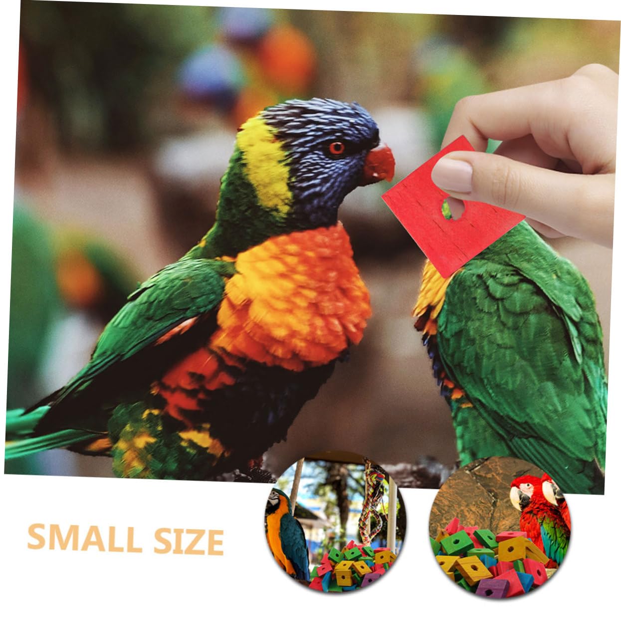 BESPORTBLE 250 Piezas Juguete de astillas de Madera para Loros Taco Madera mordedura de pájaro Juguete pájaro de de para Masticar Aves cacatúas de Loro s