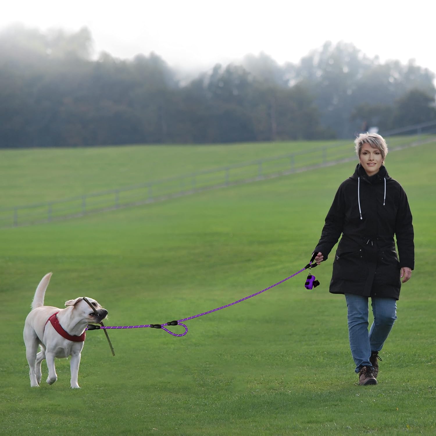 PLUTUS PET Rope Dog Leash 6ft Long,Traffic Padded Two Handle,Heavy Duty,Reflective Double Handles Lead for Control Safety Training,Leashes for Large Dogs or Medium Dogs,Dual Handles Leads(Violet)