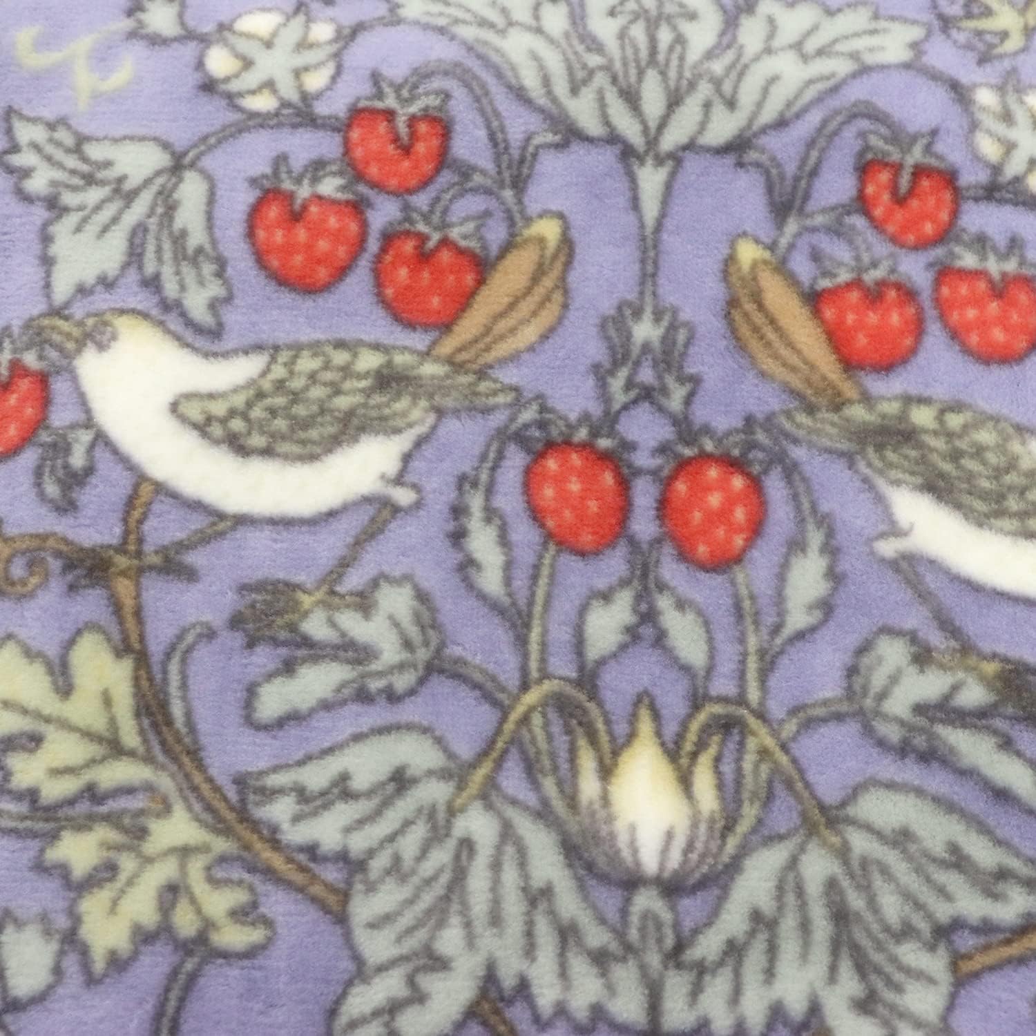 追跡付★[Romance Kosugi] ブランケット・毛布 コーマ糸 綿毛布（毛羽部分）V&amp;A いちご泥棒 ブルー 140×200