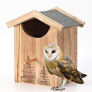 Owl House Barn Owl Box Screech Owl House with Bird Stand Great Horned Owl Box Bird Houses for Outside Large Handmade Wooden Rectangular Opening Bird Box,with Mounting Screws, Easy Assembly