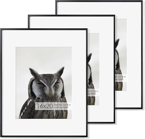 Miniatura 358 de Fun Memories Portarretratos de metal de 16 x 20 pulgadas con paspartú de 11 x 14 pulgadas, acabado de aluminio cepillado, parte delantera de vidrio