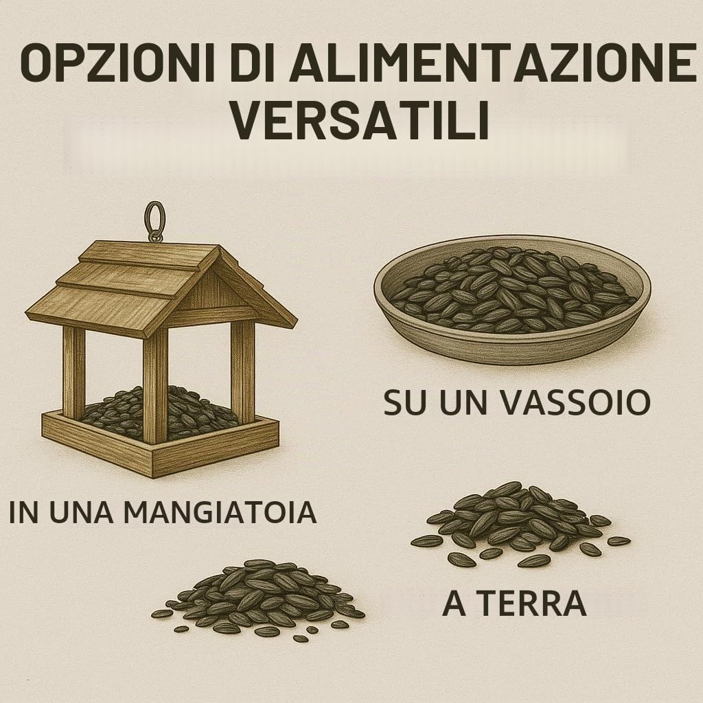 GiDeli Semi di girasole nero, 25 kg, in mangime per uccelli selvatici, per tutto l'anno