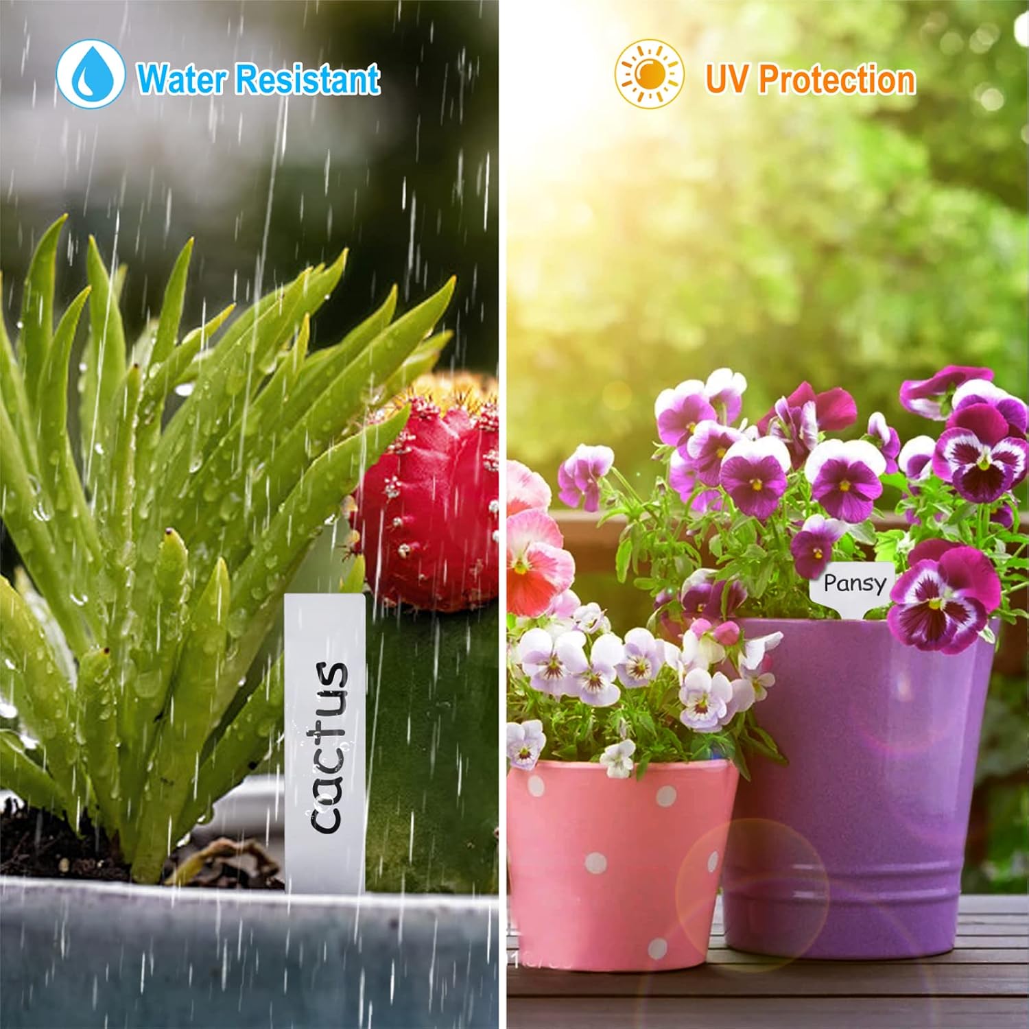 Buy 200 Pcs Plastic Plant Labels, 4 Inch Waterproof Plant ...