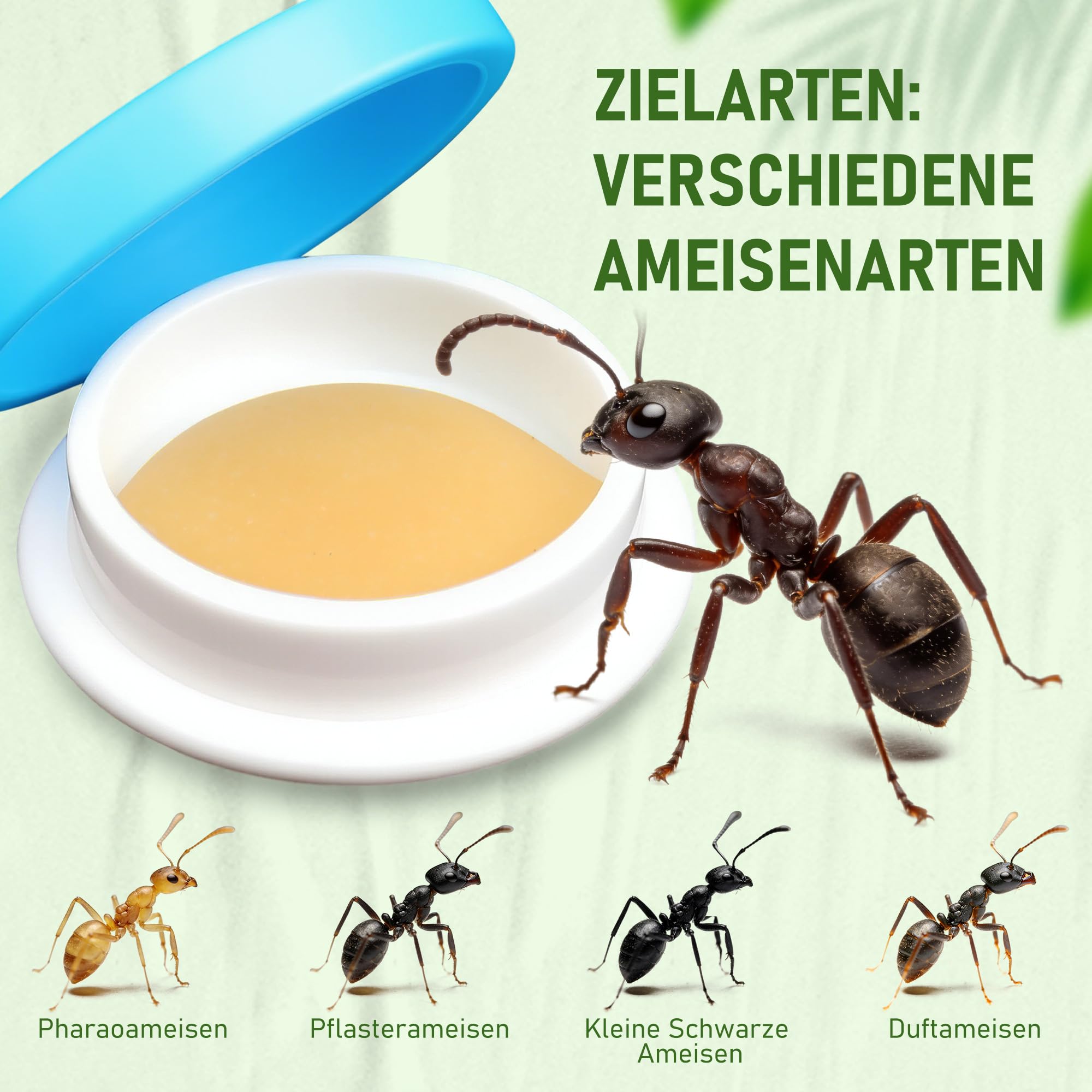 Pièges à fourmis Lot de 64 pour Intérieur Extérieur Jardin Terrasse Animaux Enfants