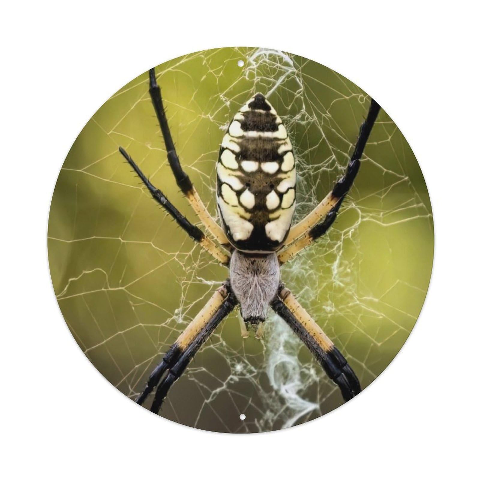 Animal Insect Orange Golden Spider Vintage Metal Tin Sign Plaque Wall Decor for Cafe, Club Bar, Office, Garden Metal Poster 8x8Inch