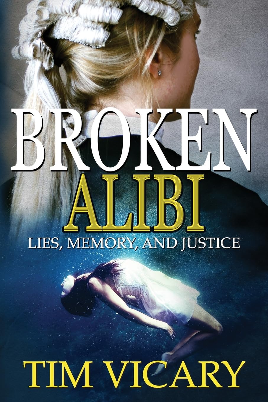 Broken Alibi: Lies, Memory and Justice: Volume 4 (The Trials of Sarah Newby)