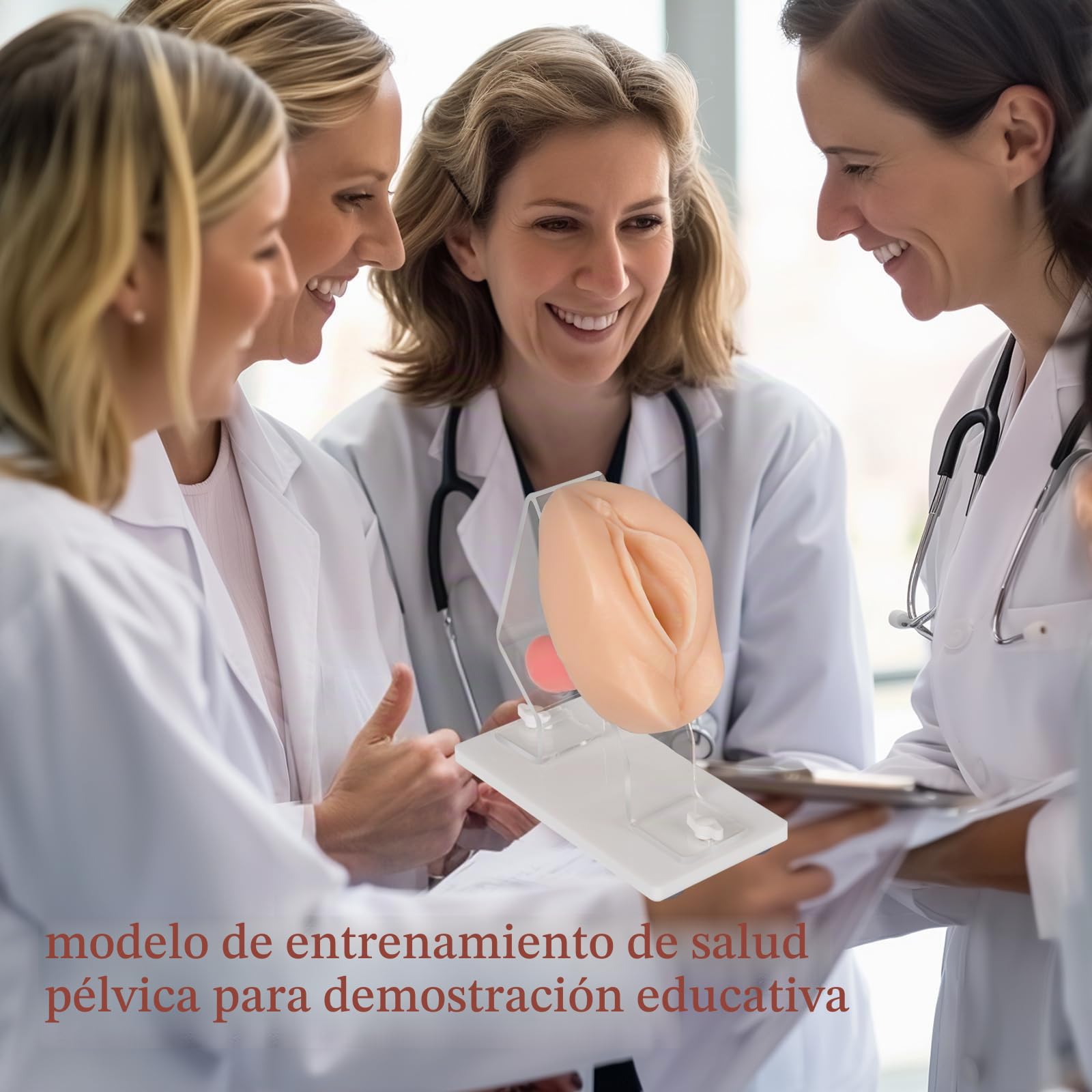 Modelo de Examen ginecológico, Modelo de Entrenamiento Vaginal para educación científica, Modelo anatómico de Salud pélvica para Estudiantes de Medicina