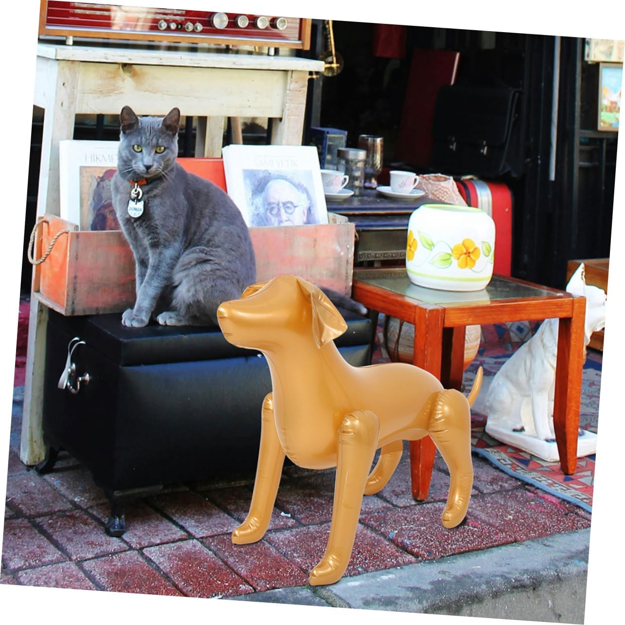POPETPOP 2 Pcs Inflatable Dog Mannequin - Pet Clothing Display Stand, Clear Black Animal Model for Shop Decoration (Clear, Black)