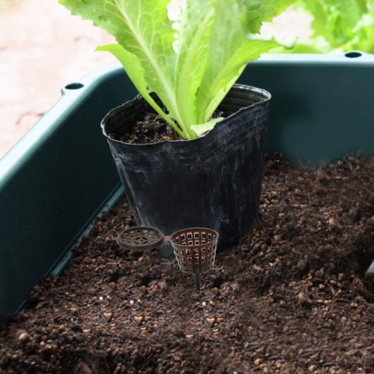 Boîte à Engrais Plastique pour Plantes Bonsai 20 Pièces Couleur Café avec Couvercle