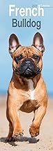 French Bulldog Slim 2026 Calendar | Slimline Wall Calendar | Dog Breed Gift | Plastic Free Packaging | by Avonside Publishing