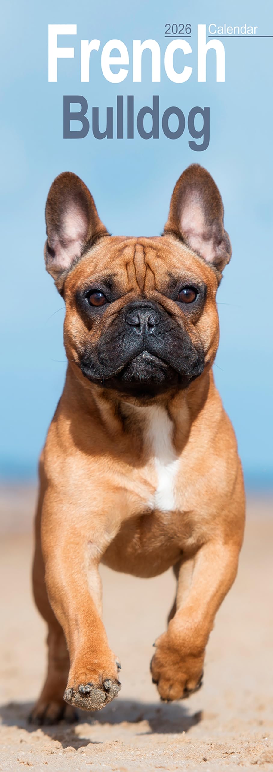 French Bulldog Slim 2026 Calendar | Slimline Wall Calendar | Dog Breed Gift | Plastic Free Packaging | by Avonside Publishing