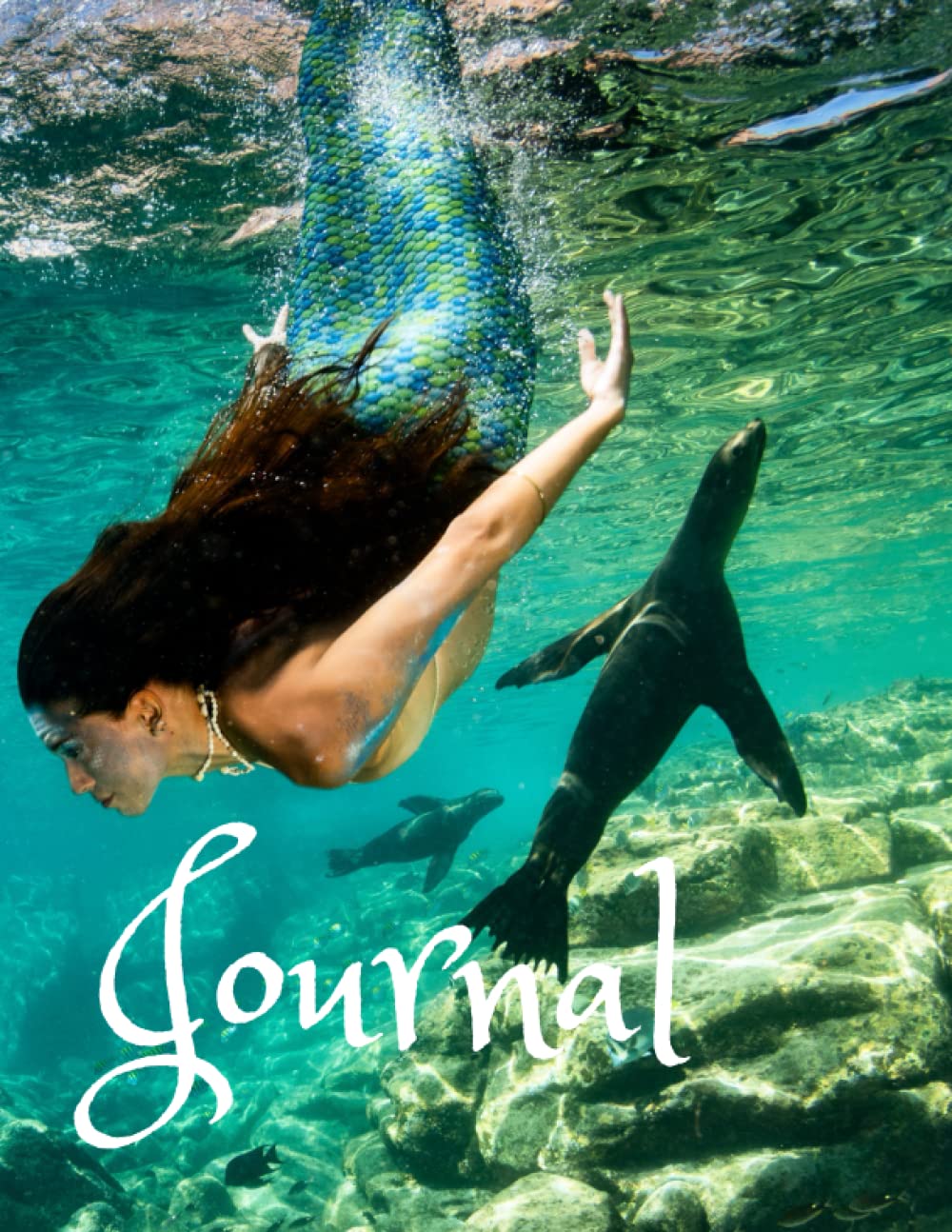 Journal: Under the Sea