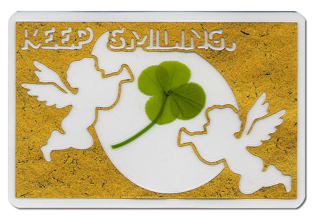 Amazon｜本物四葉のクローバー 《Keep smiling.切り絵入り》 カード 