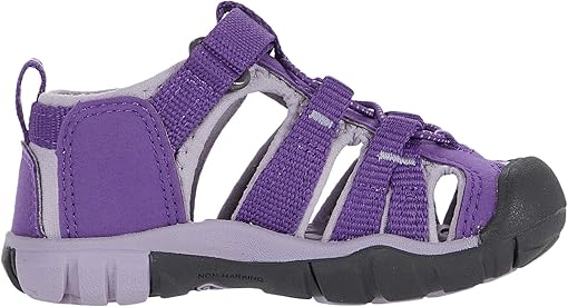 Púrpura real/Lavender Gray