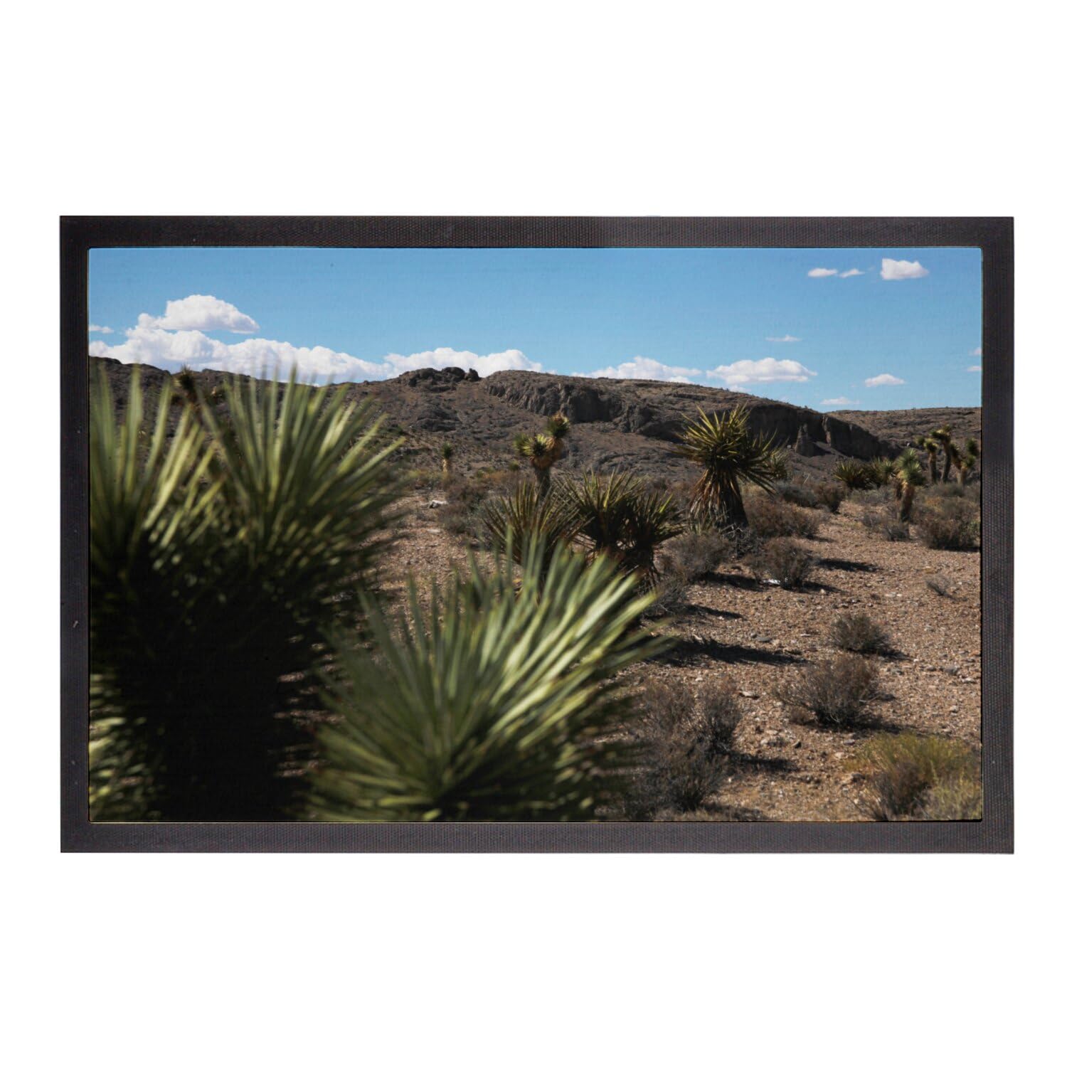 Paillasson Agave Désert Tapis Anti-Saleté Entrée 75x50 cm