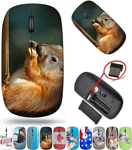 maizi Ratón inalámbrico para computadora portátil, Chromebook, inalámbrico. Ratones 26282309 Ardilla roja en birdh 2.4G portátil con receptor USB