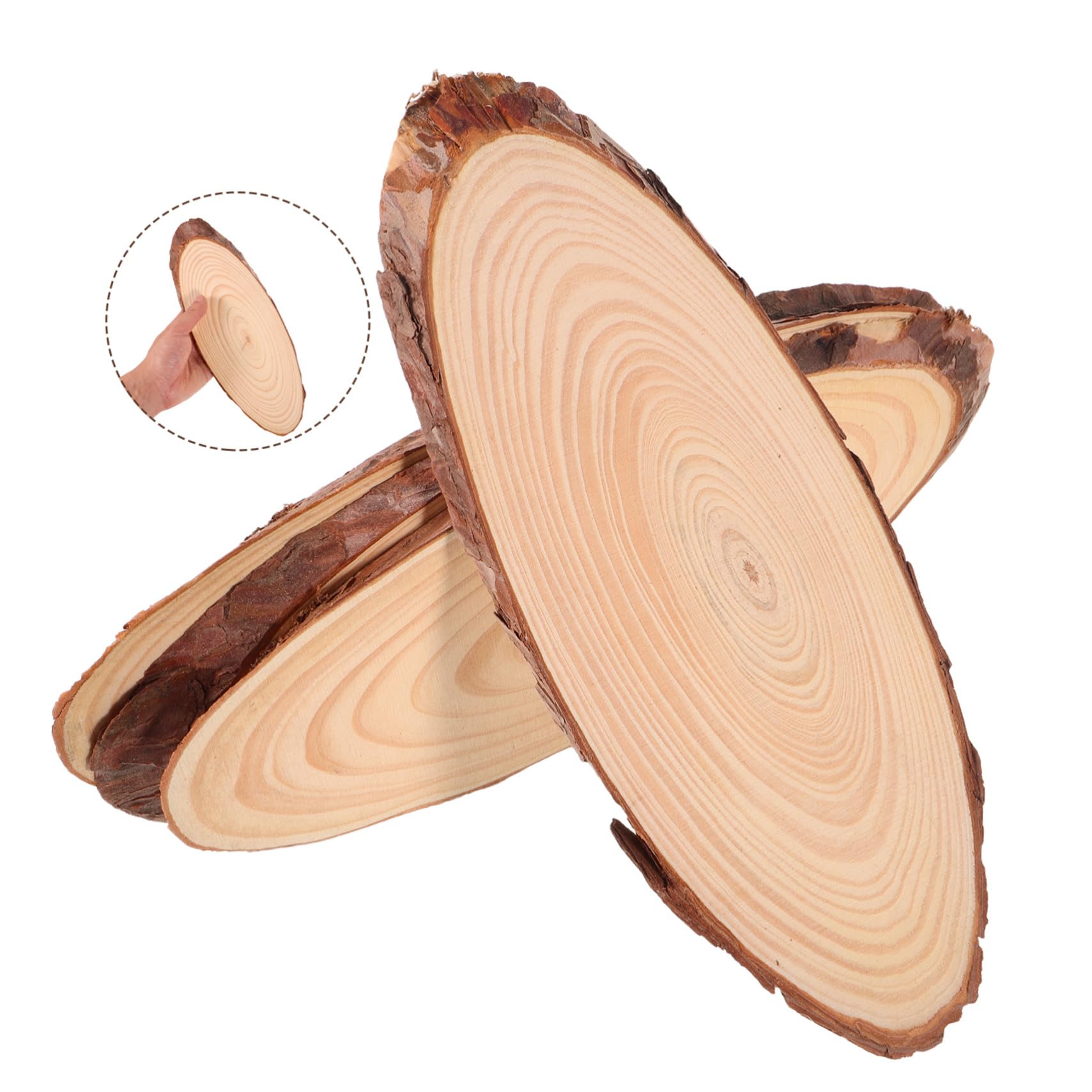 NUOBESTY Unbehandelte Holzscheiben und Rustikale Tischdekoration für Selbstgemacht Projekte Vielseitig und Einfach zu Halten aus Naturholz Ovale 4 Stück im Studio