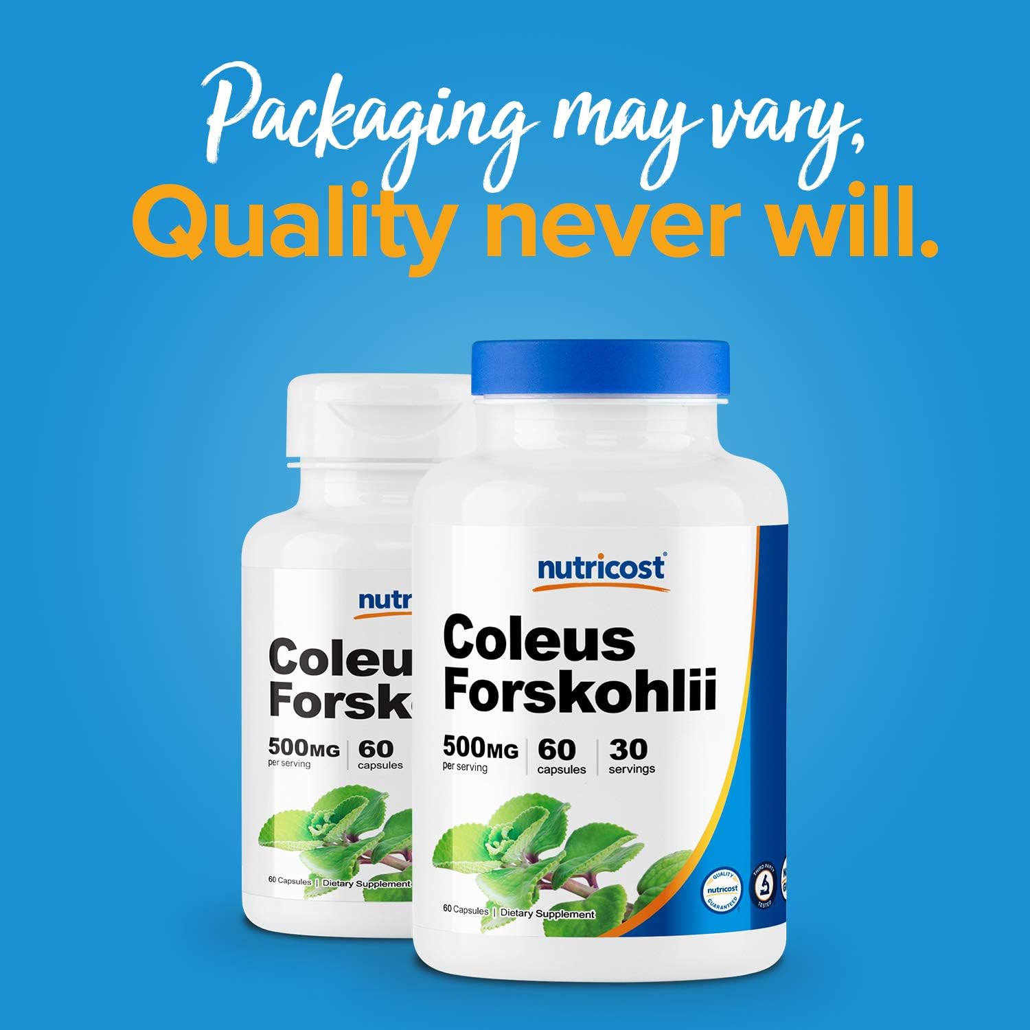 Nutricost Coleus Forskohlii 500mg, 60 Capsules - Maximum Strength Formula