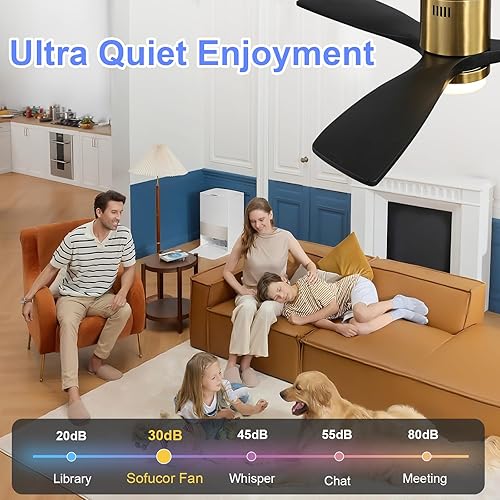 Miniatura 6 de Sofucor - Ventilador de techo de 52 pulgadas con luces, ventilador de techo empotrado negro para interioresexteriores con control remoto de luz,