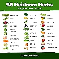 Vista 37 de HOME GROWN Más de 1000 semillas de cilantro para plantar en interiores o exteriores, hierbas tradicionales sin OMG, semillas de plantas de cilantro