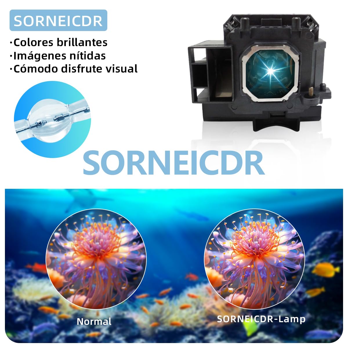NP15LP Lampada proiettore di ricambio con alloggiamento per NEC M230X M260W M260X M260XS M271W M271X M300X M300XG M311X NP-M300XC Videoproiettore