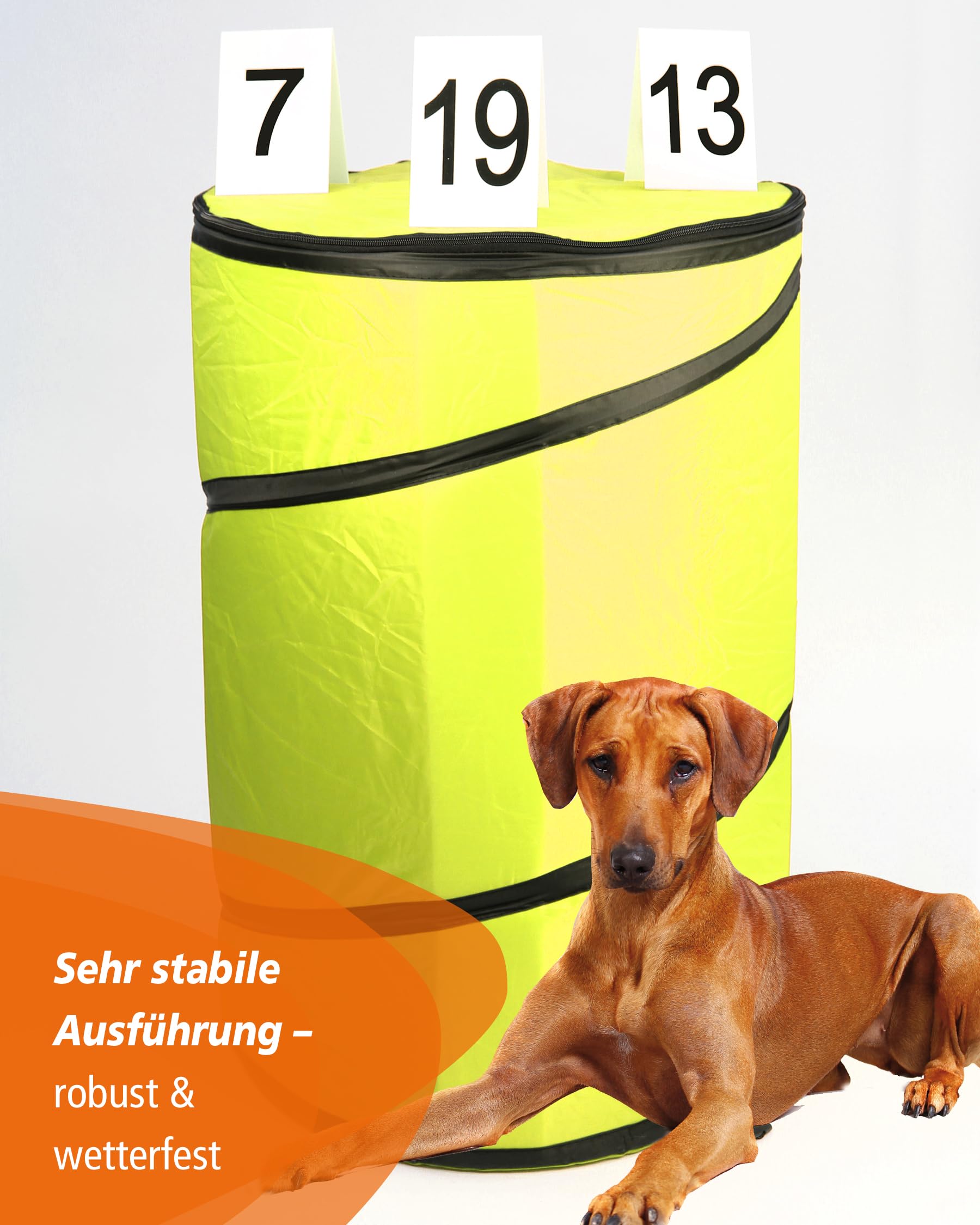 Hoopers-Tonne mit Inlay – Blau – Pop-up Nylon-Tonne mit Schaumstoffkern – standfest & VDH-konform