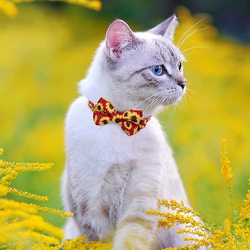 Miniatura 6 de Compernee Fancy Sun Flower - Collar de perro con lazo, resistente y ajustable para perros y gatos, collares suaves para gatos con lazos extraíbles