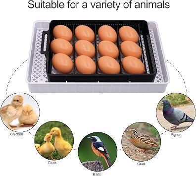 12 Egg Incubator Fully Automatic Brooding Machine for Silkies with 100pcs Chicks Glasses Eggs Candler Auto Turning Incubator Bird Hatching Machine for Hatching Beginner