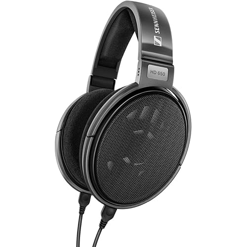 Sennheiser Consumer Audio HD 650 - Audiophile Hi-Res Open Back Dynamic Headphone, Titan