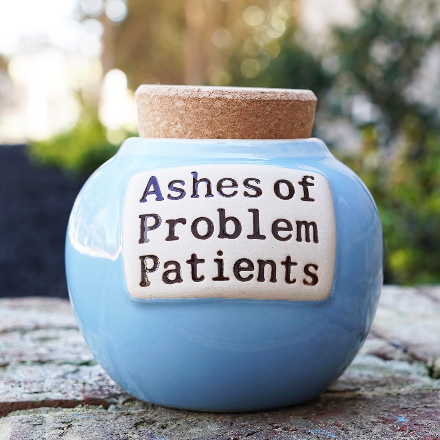 Cottage Creek Jars | Ashes of Problem Patients Ceramic Jar Women, Men, Doctors, Nurses, and Medical Professionals | Office Desk & Home Decor Piggy Bank Storgae Container